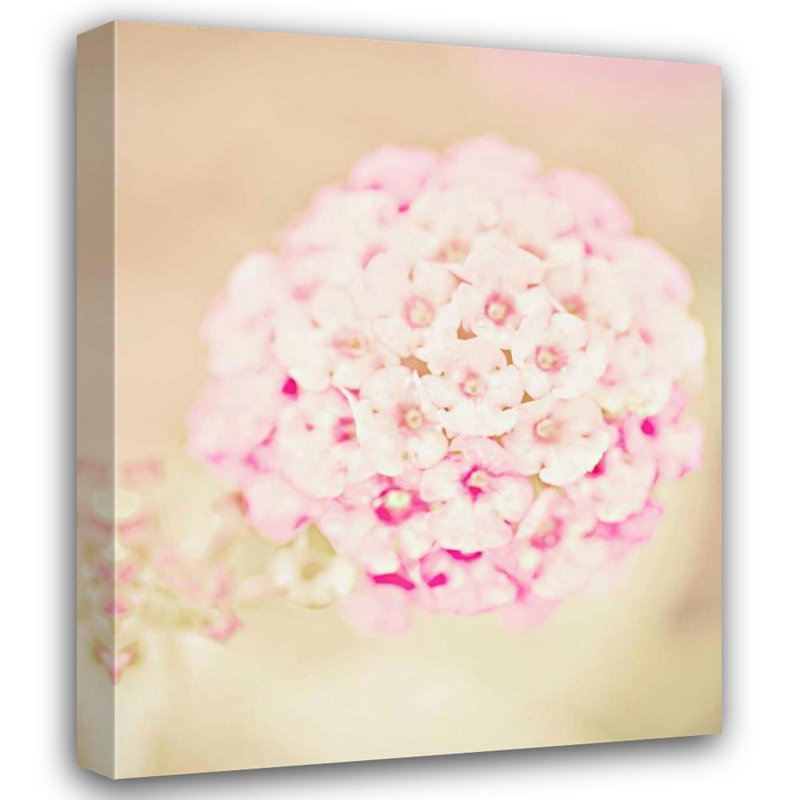 Art sur toile tendue par Red Ash Barrel par Red Barrel Studio®: Pink Flower Ball, H 34 po x l 28 po
