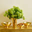 Sintra Footed Bowl-1640729563