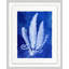 Fern Inspiration Indigo 2 Framed Painting