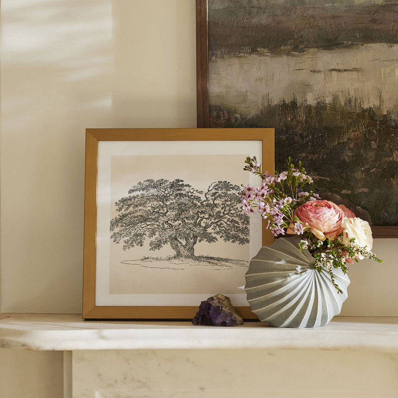 «Wide Oak Tree S Croquis» par Apolo, Non, H 12 po x l 12 po, Toile tendue