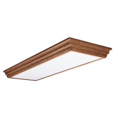 Ceiling Light