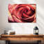 Rose magnifique Harnek-111981057