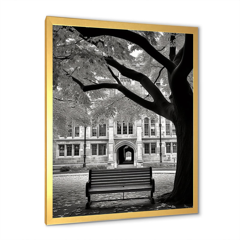 «College University Winter Photo II» sur toile, Cadre doré simple, H 44 po x l 34 po x P 1,5 po