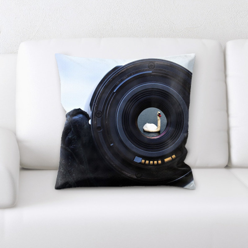 Coussin de lake