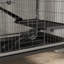 Cage à petits animaux avec rampe Susanna-339366482-339366483