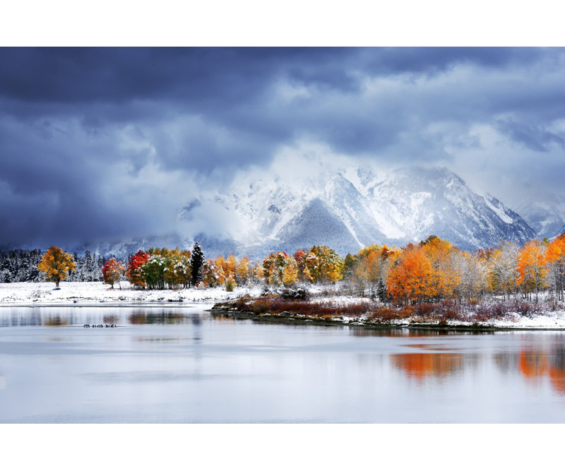 Wrapped Canvas Print, 91.44 cm H x 60.96 cm W
