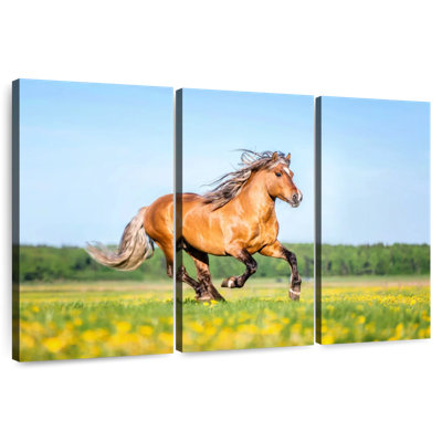 Brampt Palomino Horse