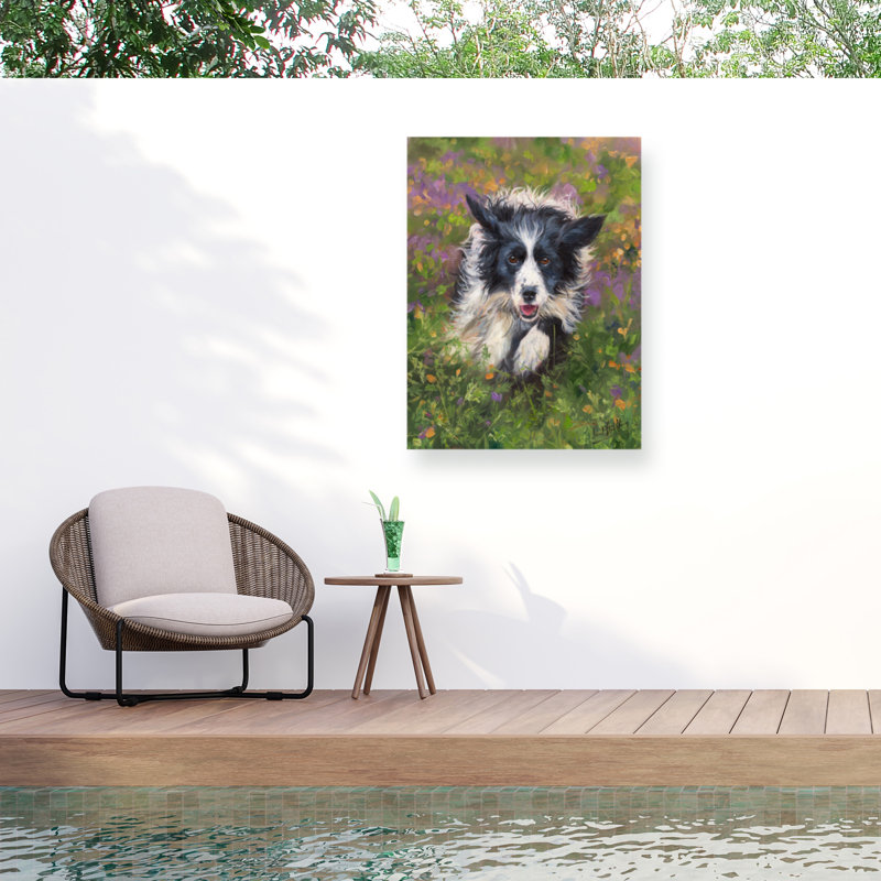 Toile d'extérieur David Stribble Border Collie, H 14 po x l 19 po