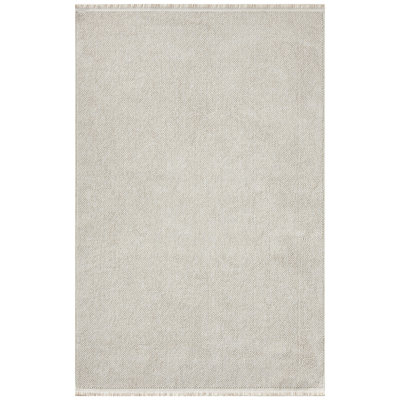 Textured Fringed Area Rug