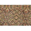 Tapis intérieur en laine 4 pi 7 po x 7 pi 1 po one-of-kind à la main-noué la 1970 anatolian