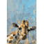 Oh Giraffe by Julia Posokhova - Wrapped Canvas Painting-1642984476
