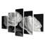 Monochrome Black And White Roses Bloom I - Roses Canvas Art Set