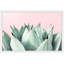 Abdirazaq Sweet Succulents - impression sur papier-820391090-808758029