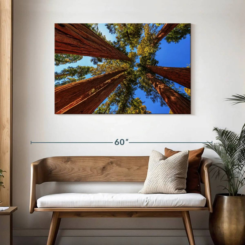 Harnek Towering Sequoia Park Trees