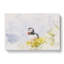Lone Atlantic Puffin - Wrapped Canvas Print-56659463