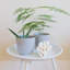 Planter