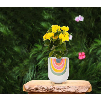 Pot à fleurs à motif arc-en-ciel