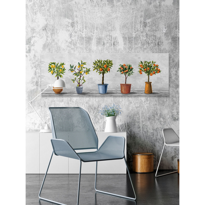 « photo lot de plantes »-impression sur toile tendue, H 15 po x l 45 po x P 1,5 po