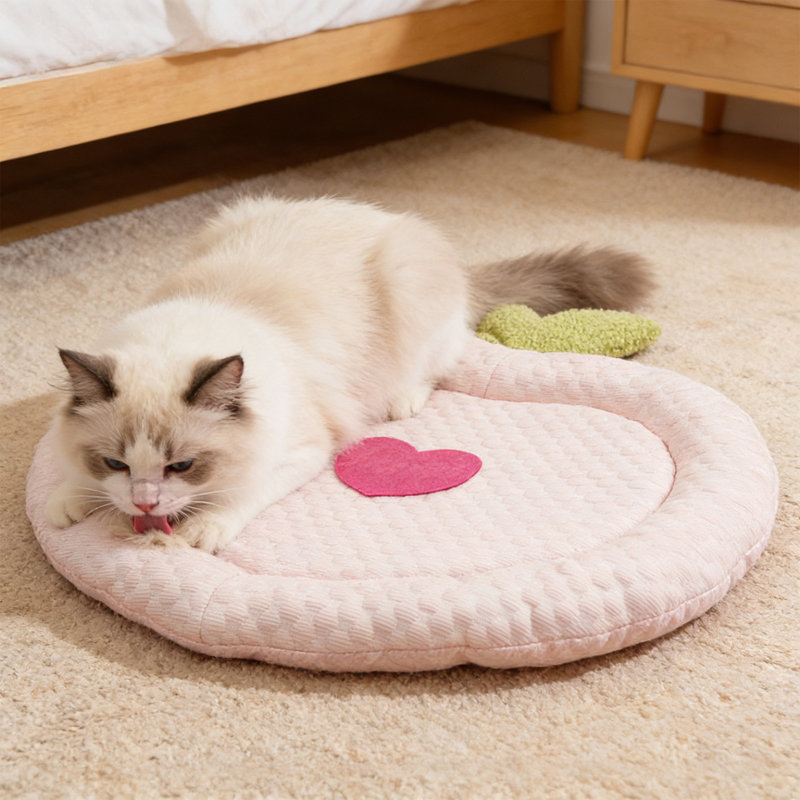 Tapis de couchage portatif à motif de fruits 18,1 x 13 po Summer Pet, PKS