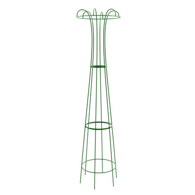 Wilmore Metal Obelisk Plant Support