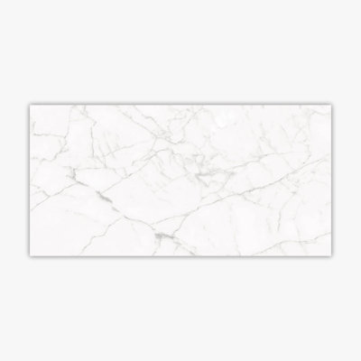 Carrelage aspect marbre 12 "x 24"