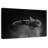 Brampt Monochrome Whale Shark-108909175