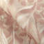Caspia-296499625