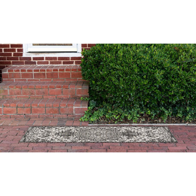 Oriental Indoor / Outdoor Area Rug