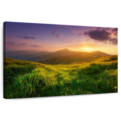 Alvord Mountain Green Field