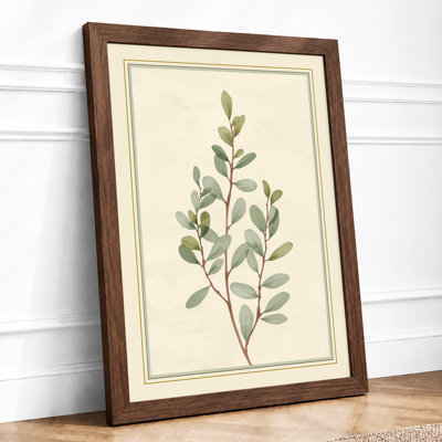 Study Botanical - Framed Print