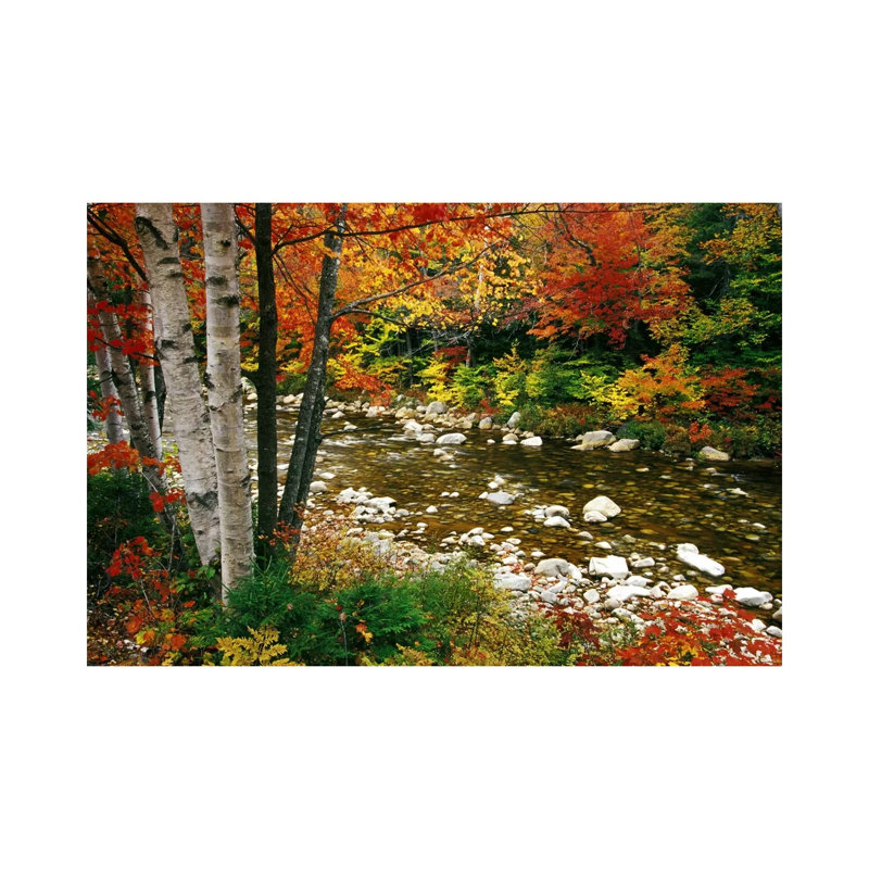 Autumn Landscape, Swift River, White Mountains, New Hampshire, Usa by Darrell Gulin - Painting on Canvas, Wrapped Canvas