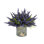 Heather Arrangement In A Glass Vase With Lavender Label