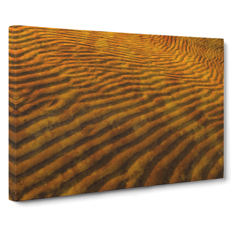 Sand Patterns - Wrapped Canvas Painting, 35cm H x 50cm W x 3cm D