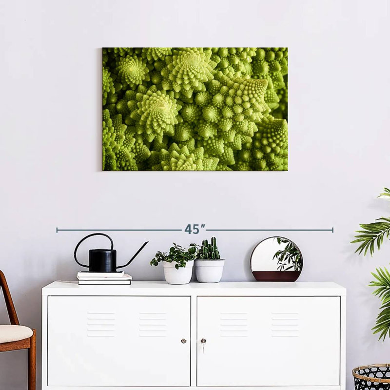 Broccoli Romanesco frais, H 20 po x l 30 po