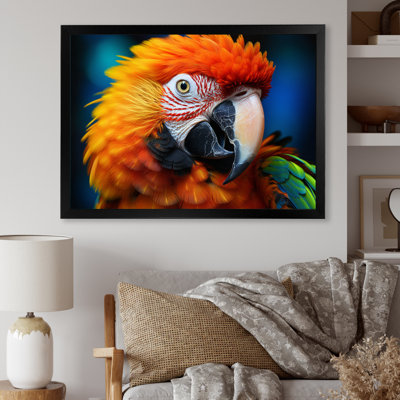 " Yellow Red Parrot Colourful Parrot "