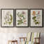 «Vintage Flowering Trees II», ensemble de 3 reproductions d'art sur toile-876857683-876857676