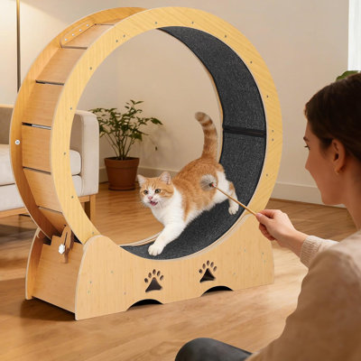 Roue d'exercice pour chat de 43 pouces, tapis roulant en bois avec rail de tapis amovible, à faible bruit, stable, noir