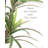 Faux Dracaena Plant in Plastic Pot Liner-1047602192