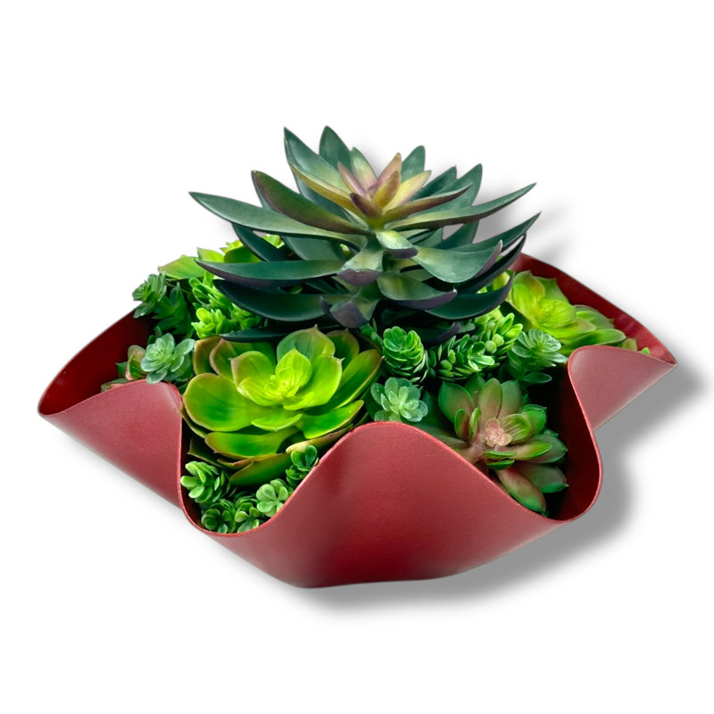 Conception succulente dans un vase en métal ondulé rouge foncé