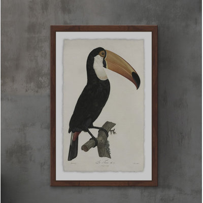 «Quiet Toucan», reproduction d'art encadrée