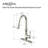 Ancona Pull Out Kitchen Faucet