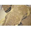 Cyrilmagnin Animal Print Black Bolster Cushion Cover
