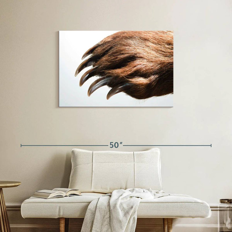 Brampt Brown Bear Claws, 24" H x 36" W