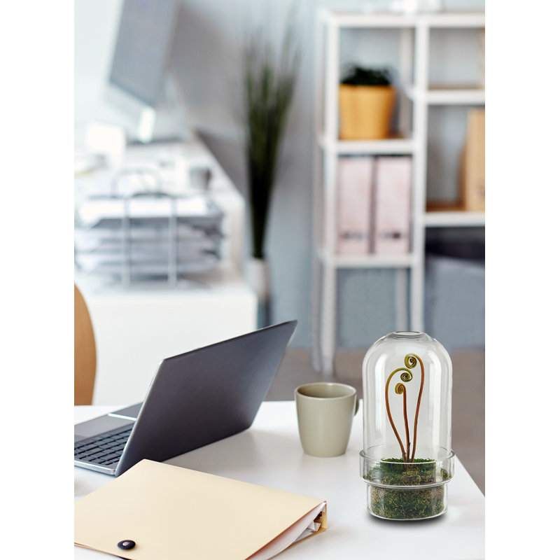 Vase de table en verre Lukats, H 11 po x l 6,25 po x P 6,25 po