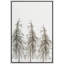 Paysage de forêt Woodland «Tall Pine Trees Forest Nature Landscape» sur-99141817-99141816