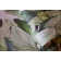 Tropical Collection 4 Panel Wall Mural 8.8' L x 110.2" W in A Tropical Forest Design