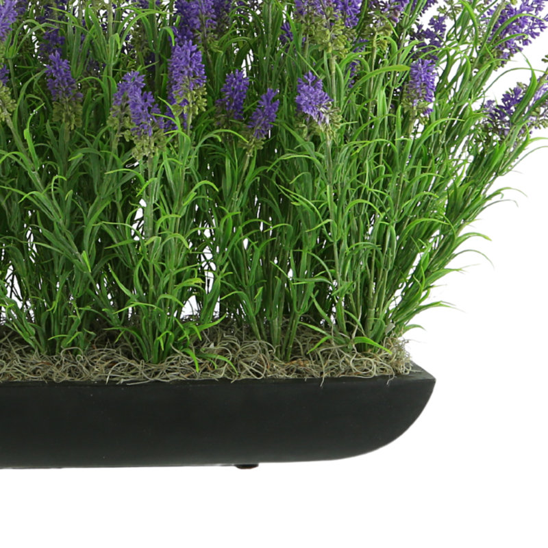 Outdoor UV-Rated Lavender in Rectangular Planter