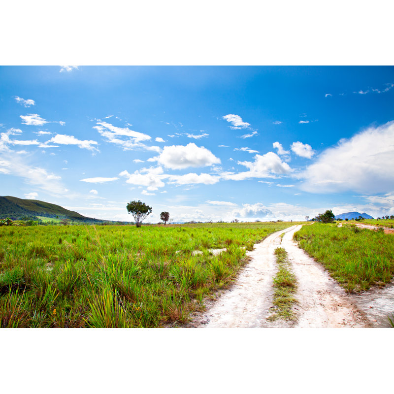 Country Road - Wrapped Canvas Print, 81cm H x 122cm W x 3.8cm D
