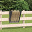 Small Animal Feeder-1081785648