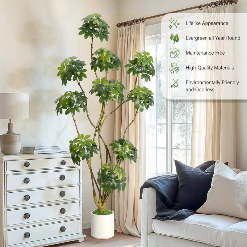 Arbre artificiel réaliste Schefflera, 7 pieds